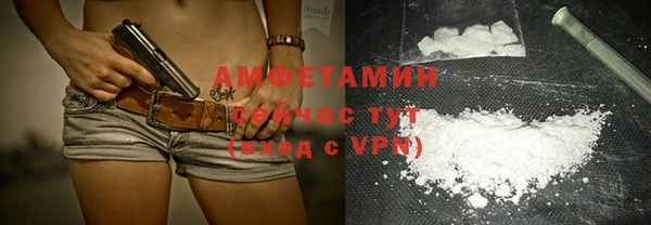 гидра Арсеньев
