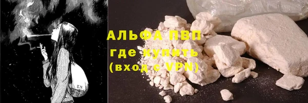 гидра Арсеньев