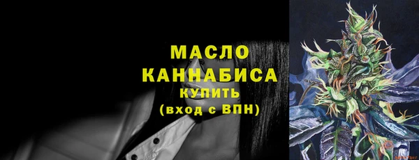 гидра Арсеньев