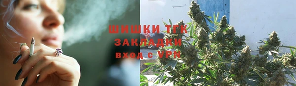 гидра Арсеньев