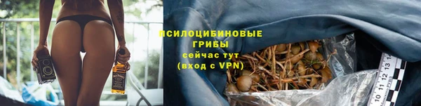 ALPHA-PVP Аркадак