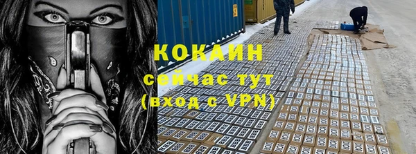 гидра Арсеньев