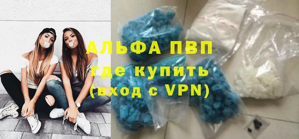 гидра Арсеньев