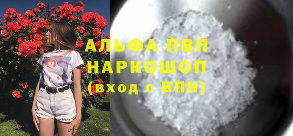 гидра Арсеньев
